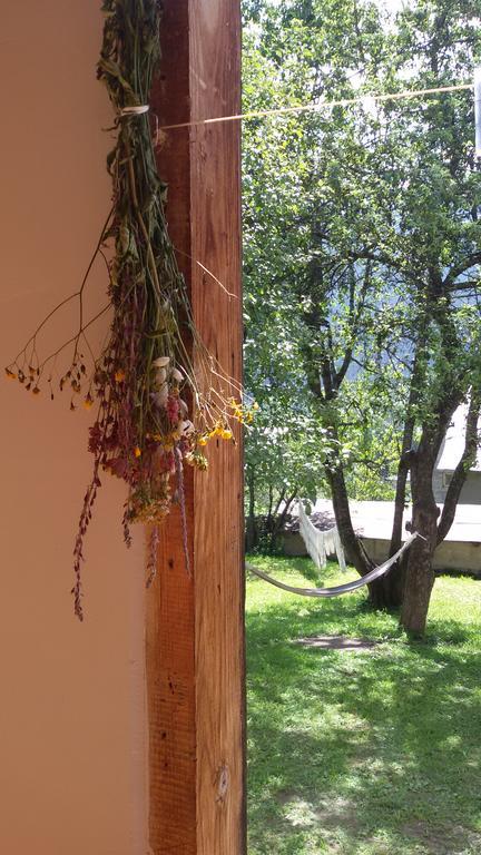 Guesthouse Mountain View Mestia Exterior photo